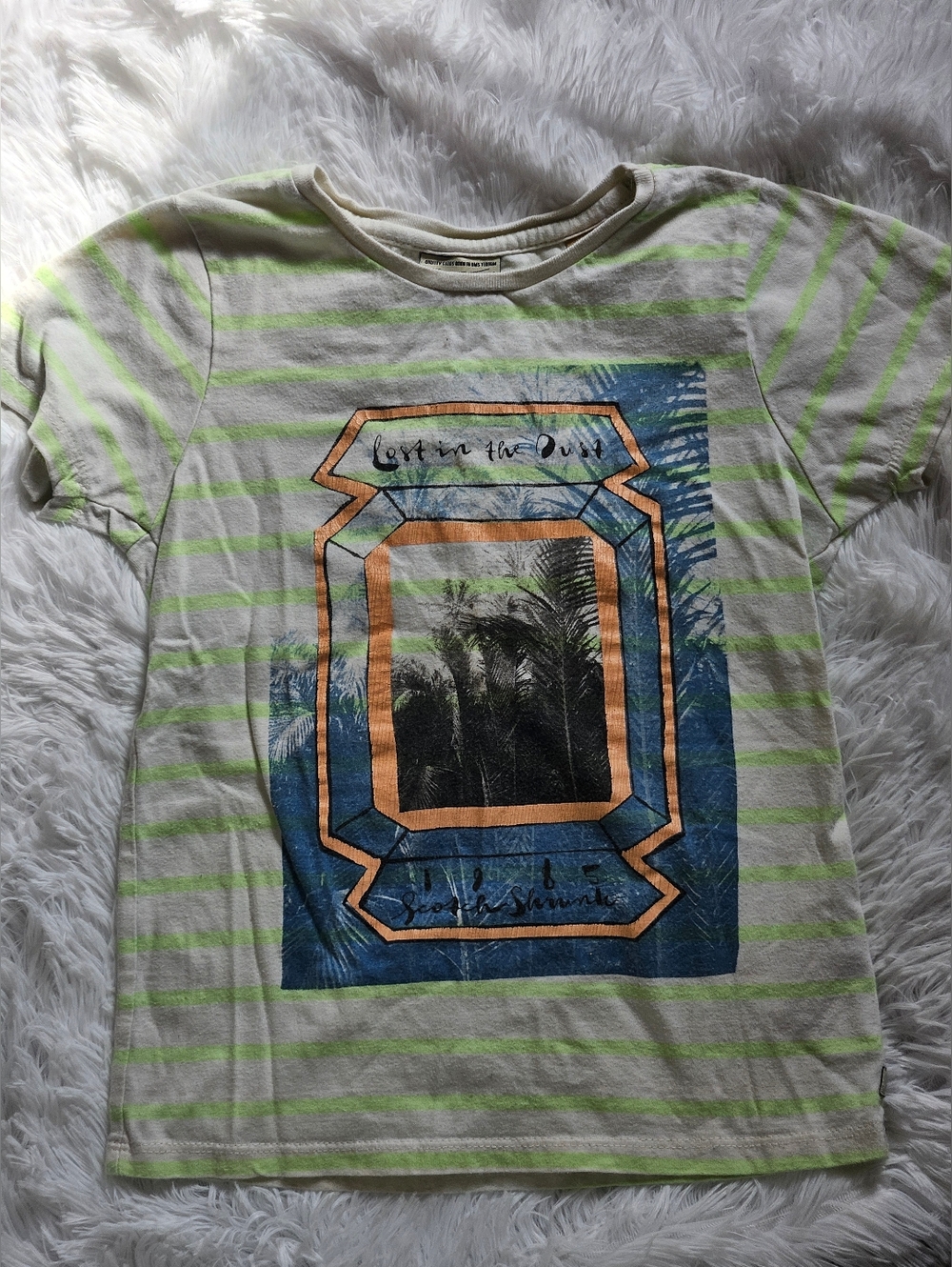 Scotch ReBelle Striped Graphic Tee with Tropical Print 6